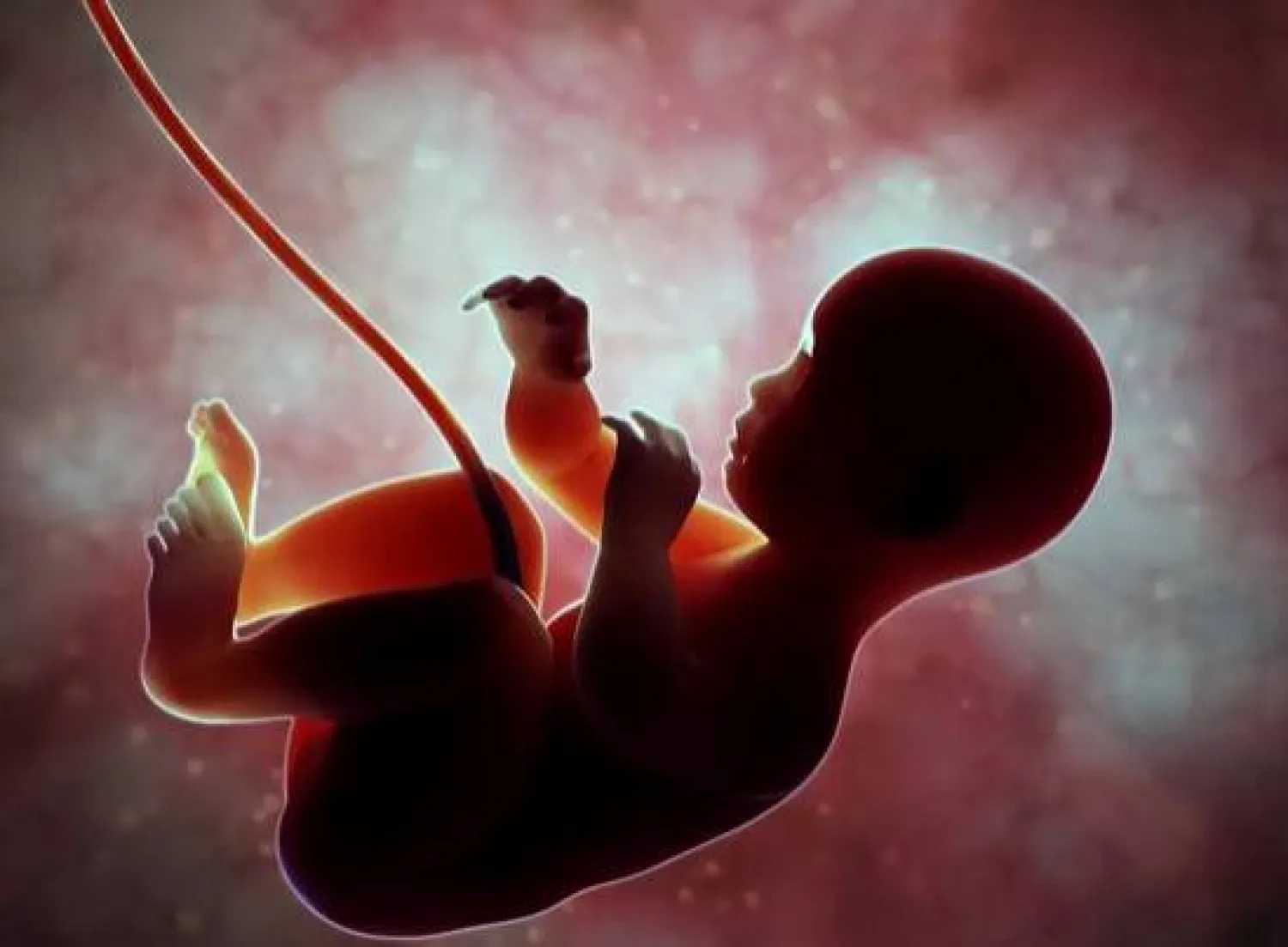 نشر خريطة مكانية زمانية أحادية الخلية لتطور الأطراف البشرية !