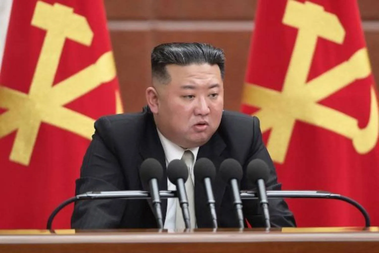 Kuzey Kore lideri Kim Jong Un (AFP)