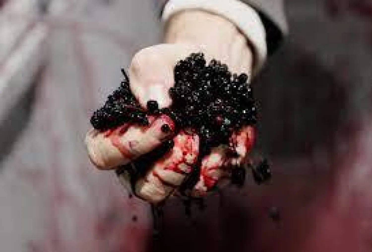 بينها صحة القلب وتقوية المناعة... فوائد كبيرة للبلسان