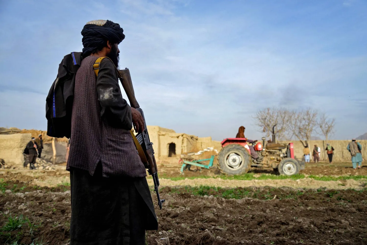 أحد أفراد أمن «طالبان» يشاهد جراراً يسحق مزارع الأفيون بحقل في منطقة أرغانداب بمقاطعة قندهار الاثنين 15 يناير 2024 (أ.ف.ب)