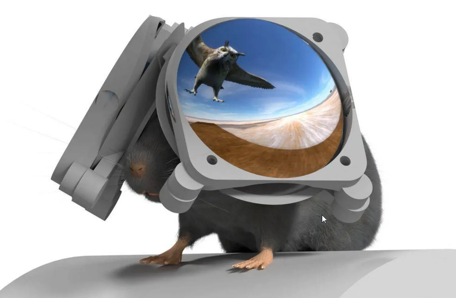 نظارات واقع افتراضي للفئران