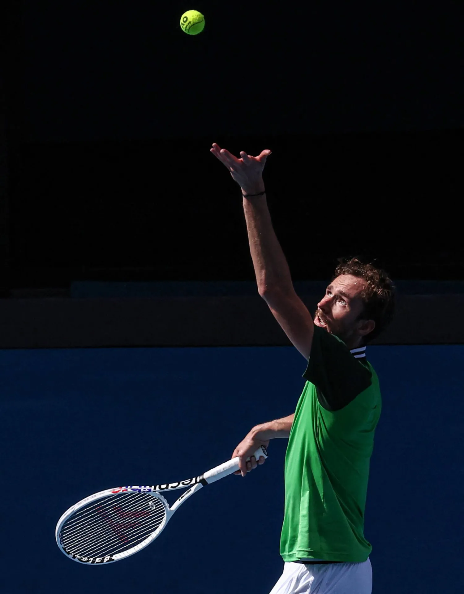 دانييل ميدفيديف (أ.ف.ب)