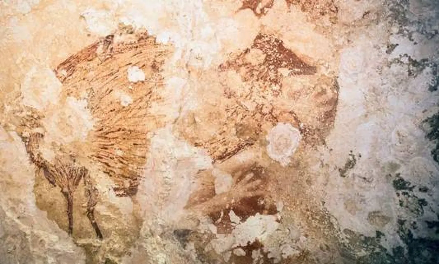 علماء آثار: «سقف العالم» مأهول منذ 50 ألف عام !