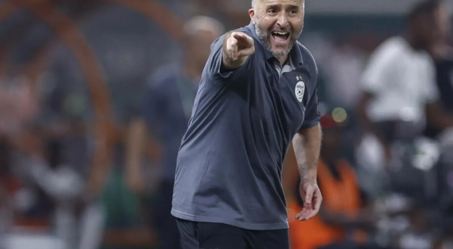 Algeria axed their coach Djamel Belmadi after another early AFCON exit © KENZO TRIBOUILLARD / AFP
