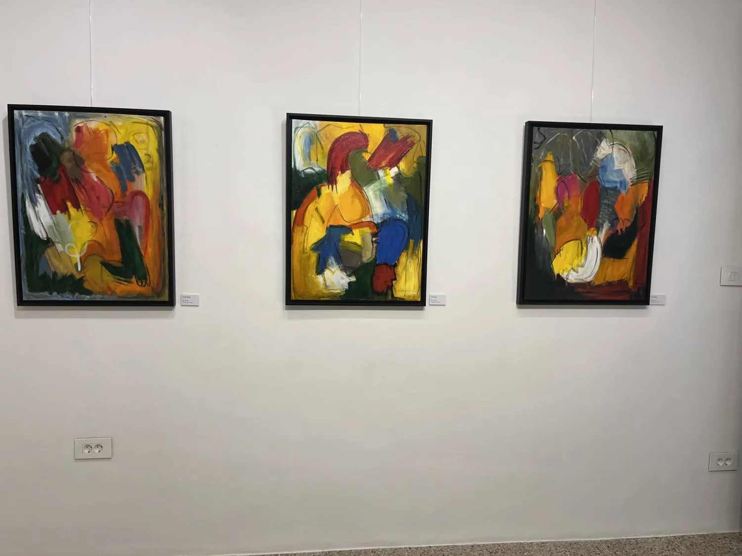 لوحاتها تعكس شخصيتها الإيجابية (الشرق الأوسط)
