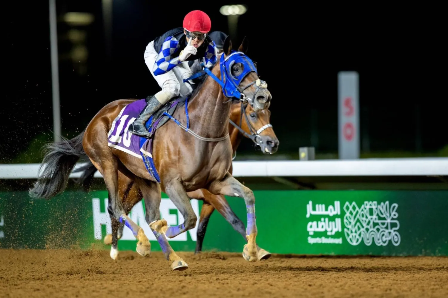 الجواد ضرغام عذبة تألق في سباق كأس الدرعية (الشرق الأوسط)