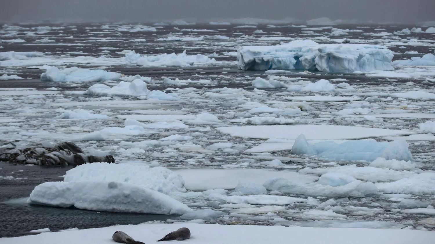 اكتشاف بحيرة تحت جليد القارة القطبية الجنوبية !