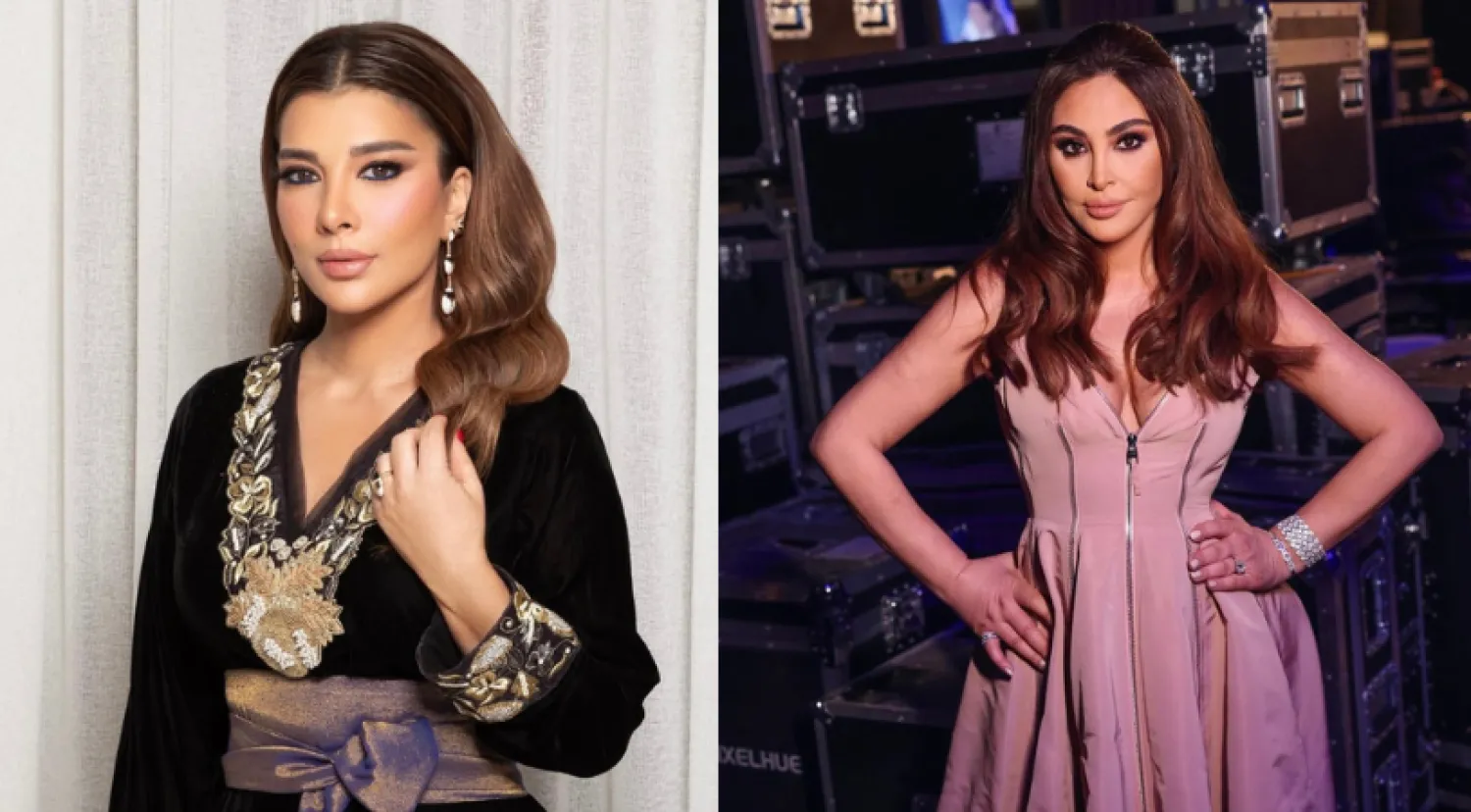 افتتحت إليسا عامها الجديد بوثائقي وأغنية... أما أصالة ففتحت صندوق ذكرياتها (إنستغرام الفنانتين)