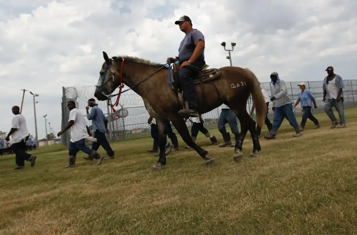 في أحد سجون لويزيانا يمتطي شرطي حصاناً وهو يراقب السجناء خلال عملهم (أ.ب)