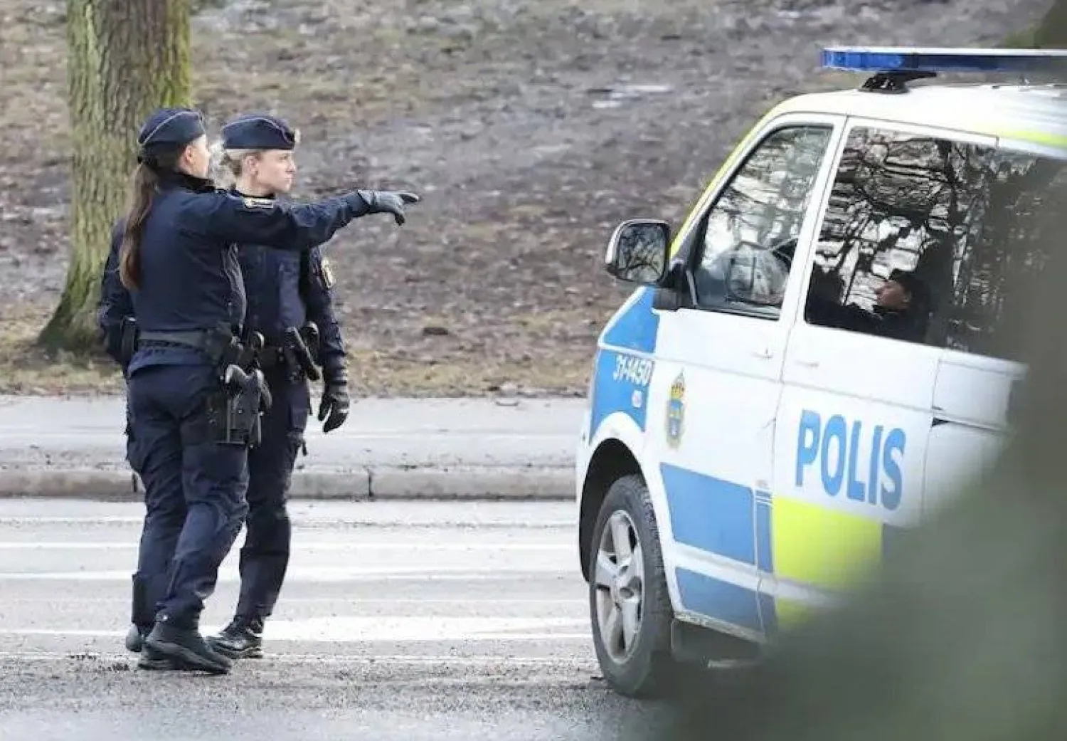 عناصر من الجيش السويدي (تويتر)