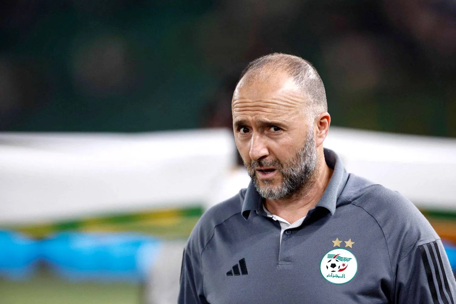 جمال بلماضي (الشرق الأوسط)