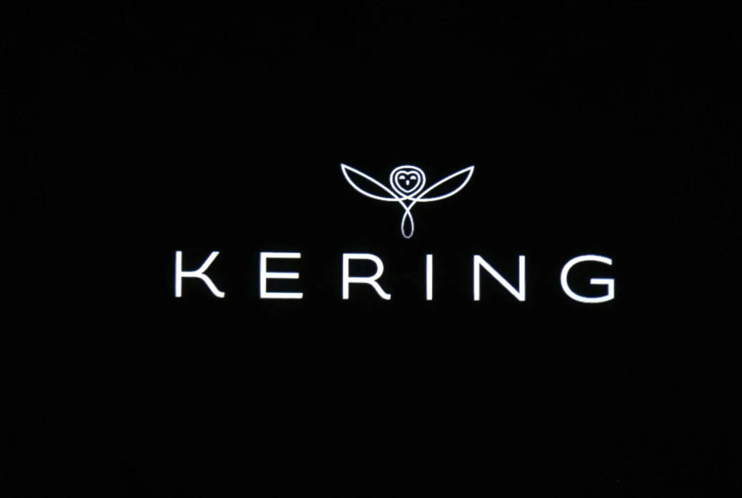 (FILES) A photo taken on June 18, 2013 shows the new name and logo of French luxury and retail group PPR , Kering. (Photo by FRANCOIS GUILLOT / AFP)