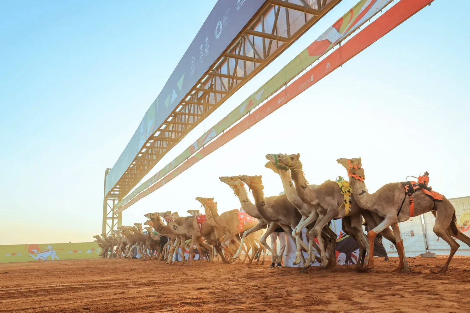 «جائزة سيف خادم الحرمين الشريفين» تعدّ الأكثر نقاطاً (وزارة الرياضة)