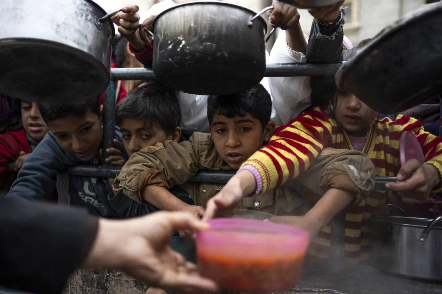Palestinian children crowd to get food aid in Rafah, south of the Gaza Strip (The AP)