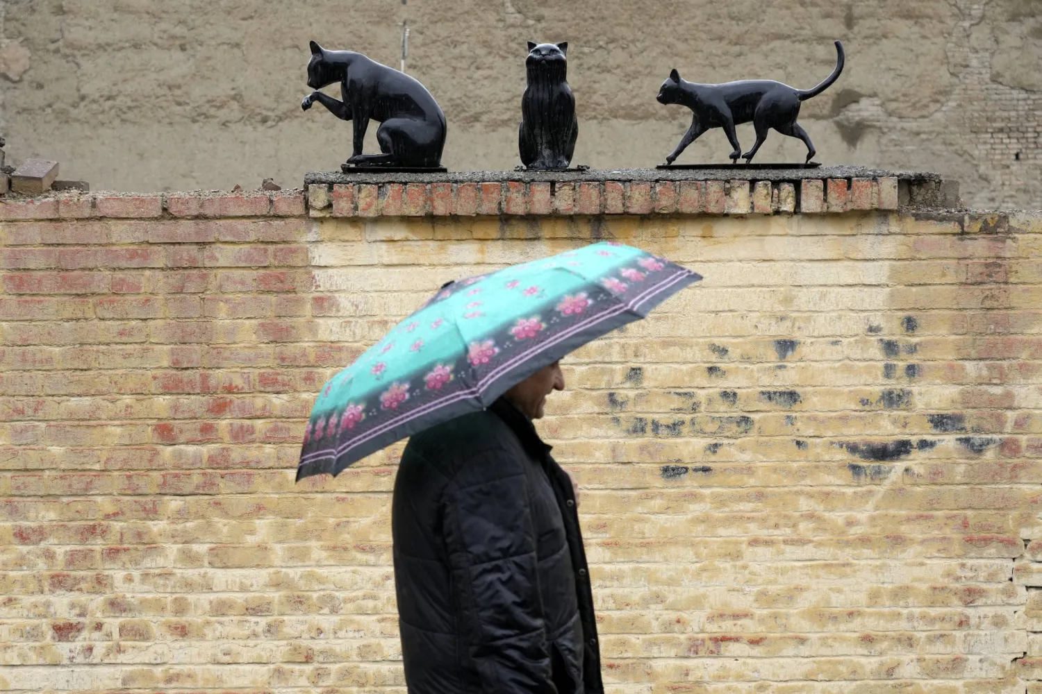 A man walks under statues of cats in a rainy weather in northern Tehran, Iran, Friday, Feb. 16, 2024. (AP Photo/Vahid Salemi)