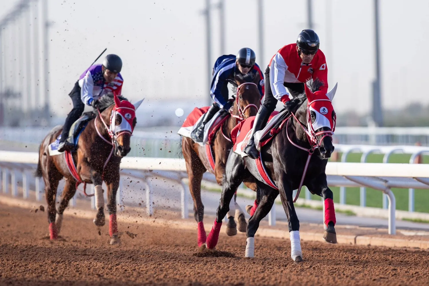 من استعدادات الفريق الياباني للسباق (الشرق الأوسط)