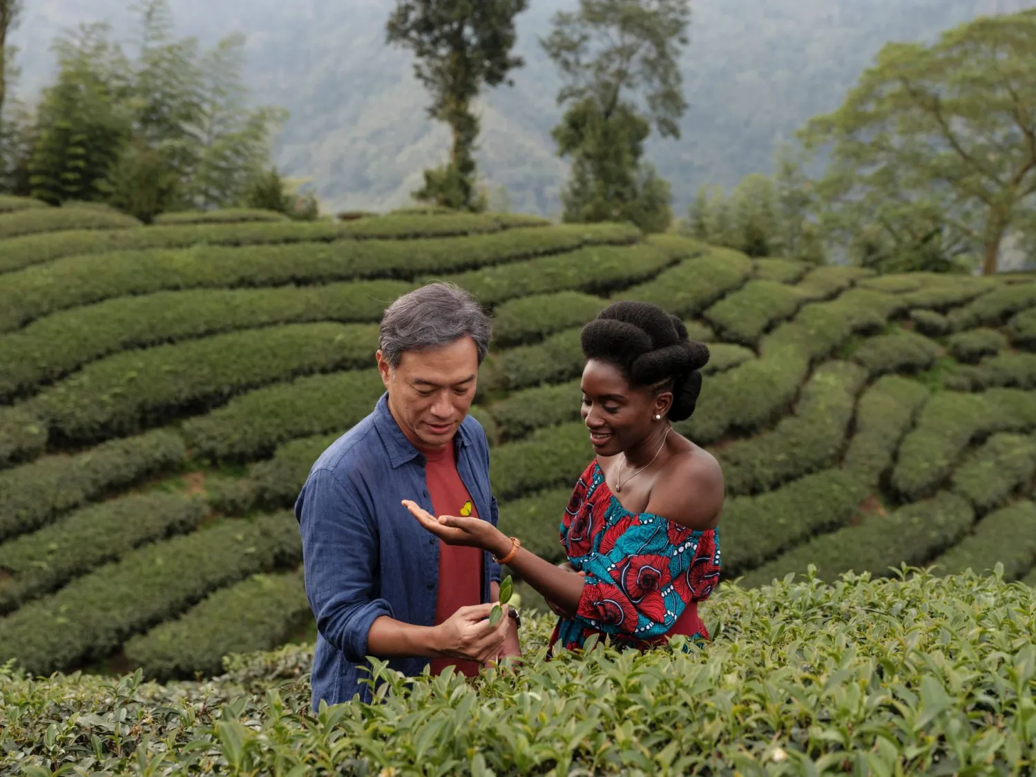 الشاي أحد العوامل المشتركة بين آسيا وأفريقيا (إدارة المهرجان)
