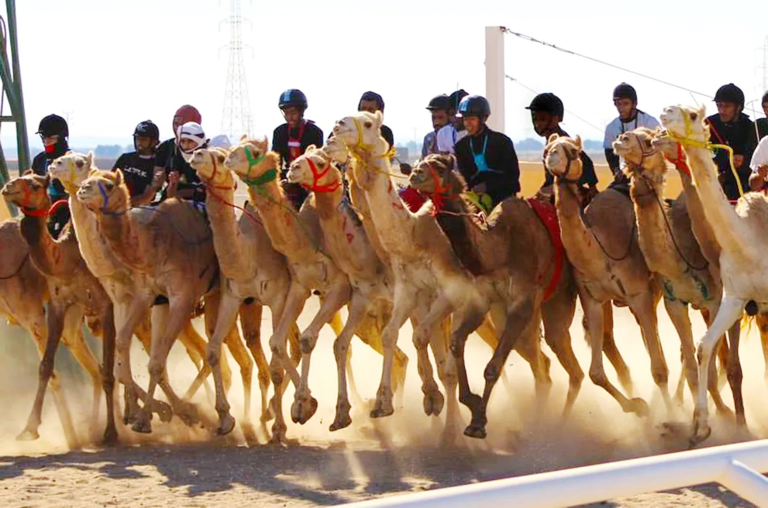 جانب من منافسات المرحلة التمهيدية لدوري هجان 2024 (الشرق الأوسط)