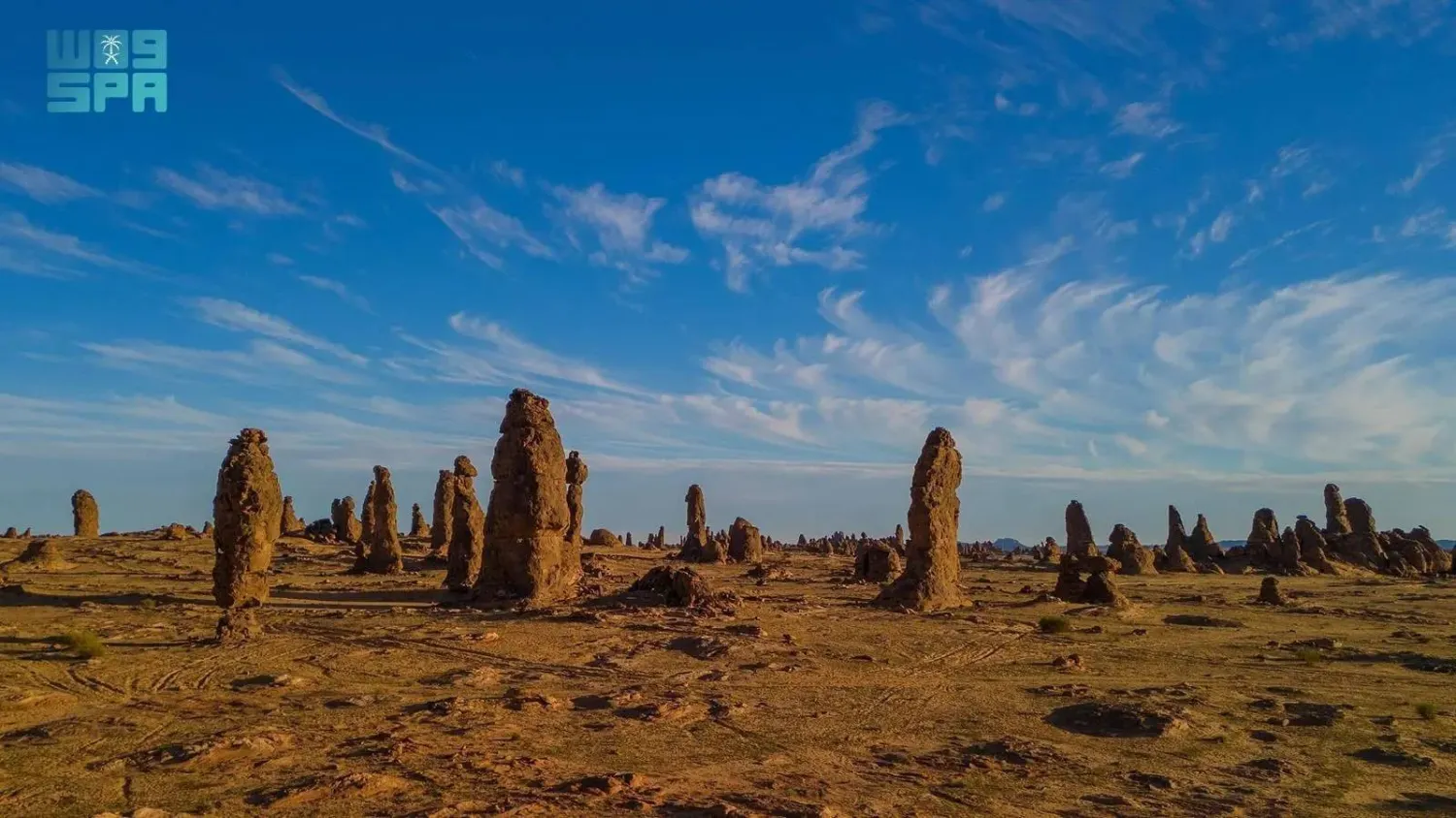 The Gharameel nature reserve is a stunning expanse of desert wilderness renowned for its unique biodiversity (SPA)

