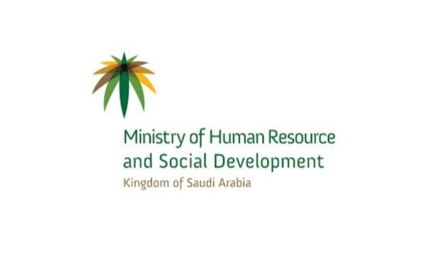 The Human Resources Ministry implements Saudization’s second phase of licensed aviation professions. (SPA)