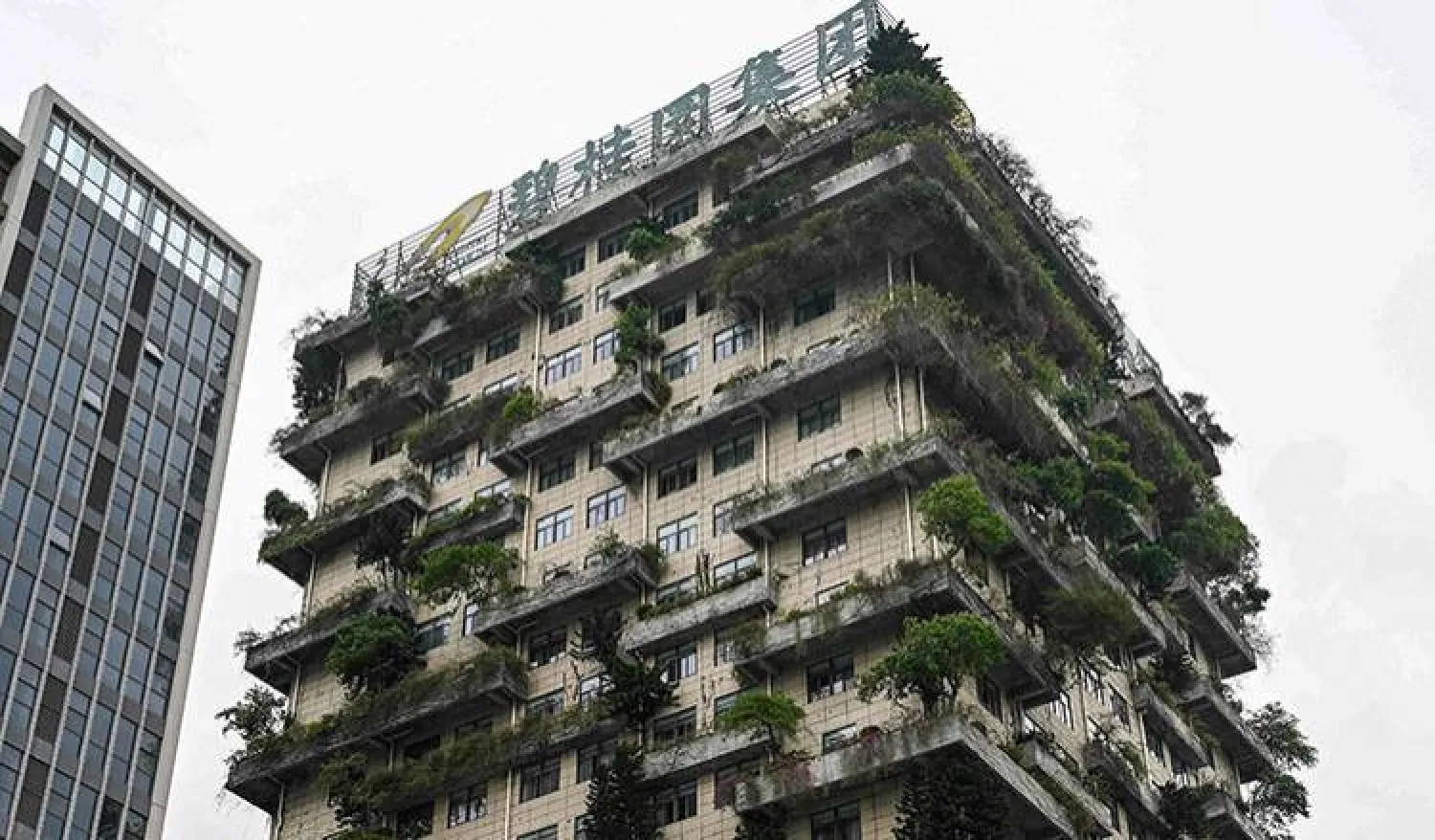 المقر الرئيس لشركة «كانتري غاردن» العقارية الصينية في مدينة فوشان (أ.ف.ب)