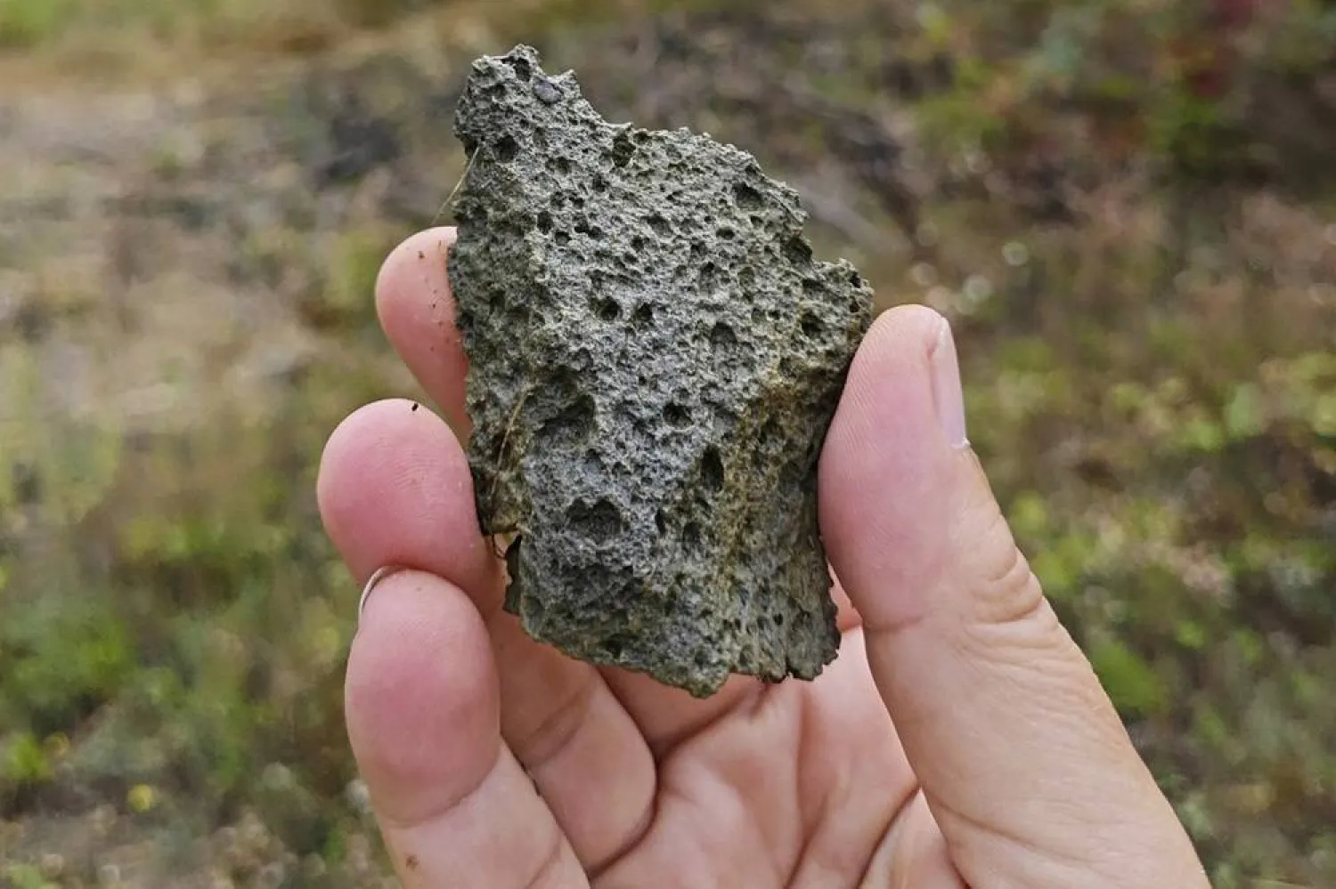  This photo provided by researcher Roman Garba shows a heavily weathered flake artifact at the Korolevo I archaeological site in western Ukraine in August 2023. (Roman Garba via AP) 