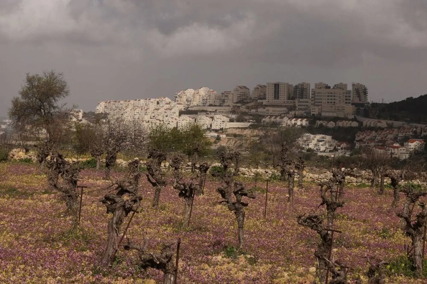 This photograph shows the Israeli settlement of Efrata built on the land of the Palestinian town of Al-Khader in the Bethlehem governorate in the occupied West Bank on March 6, 2024. (AFP)
