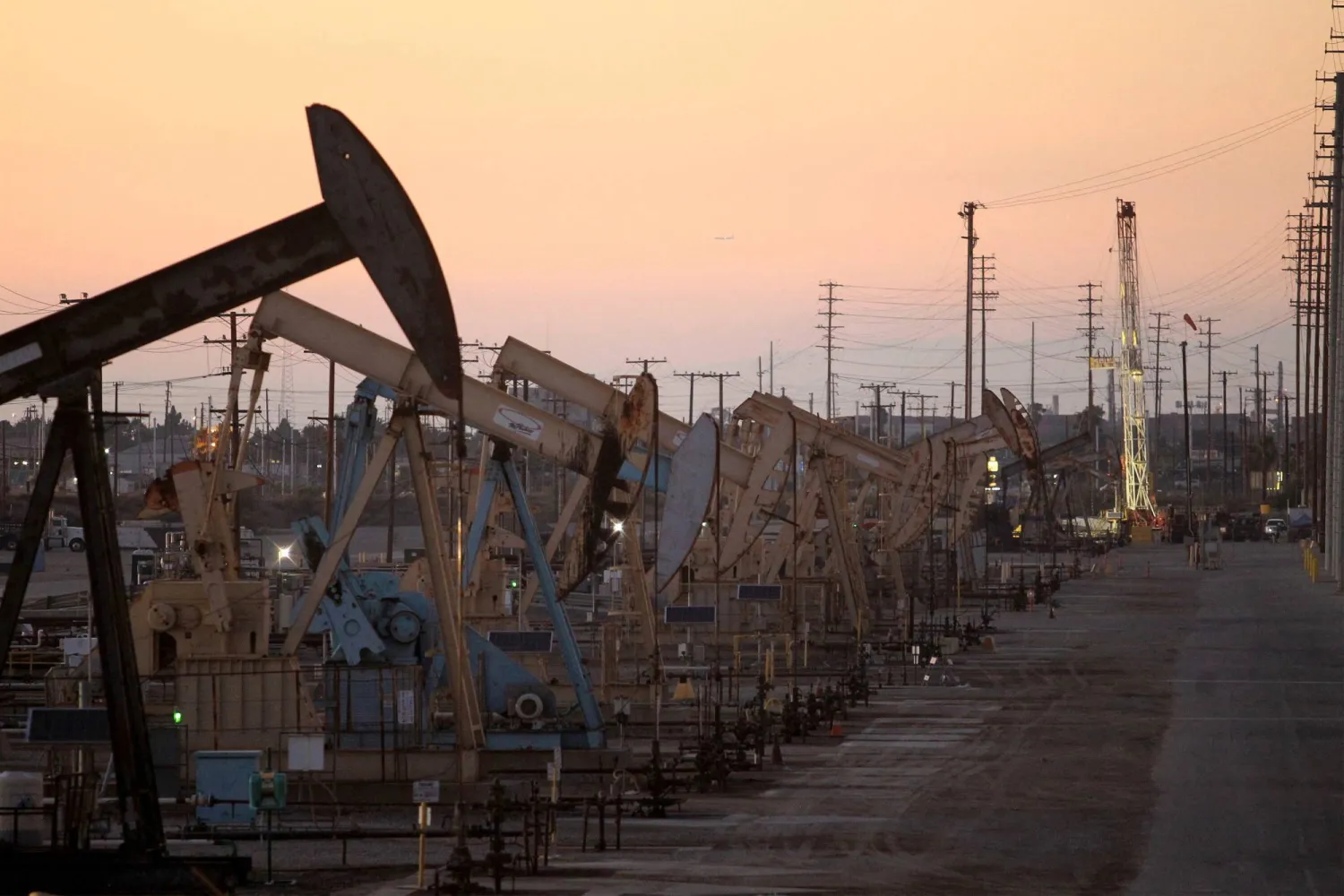 Oil rig pumpjacks, also known as thirsty birds, extract crude from the Wilmington Field oil deposits area near Long Beach, California July 30, 2013. REUTERS/David McNew/File Photo/ Purchase Licensing Rights