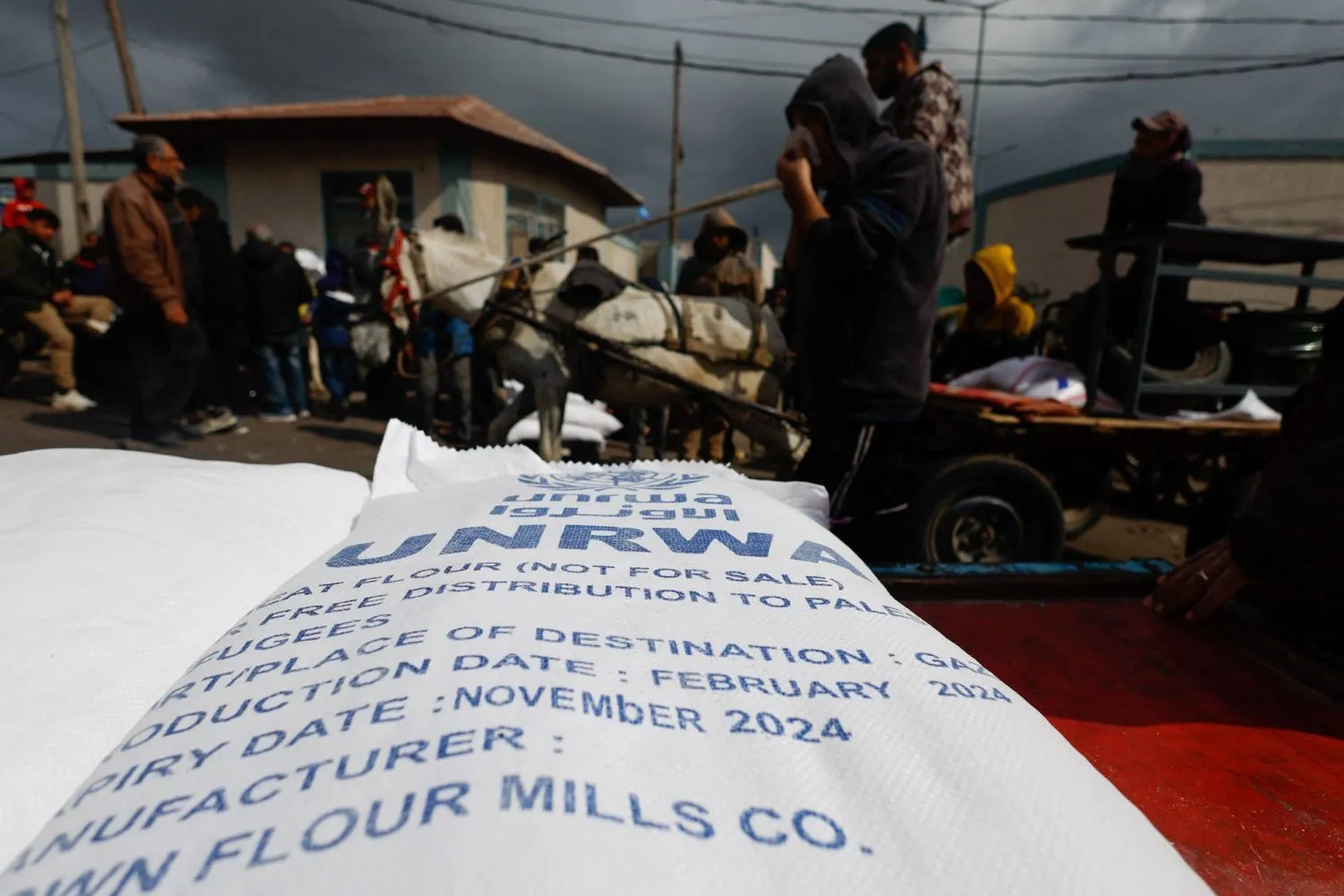 Yerinden edilmiş Filistinliler, devam eden savaşın ortasında Birleşmiş Milletler Yakın Doğu’daki Filistinli Mültecilere Yardım ve Bayındırlık Ajansı'ndan (UNRWA) yardım almayı bekliyor. (Reuters)