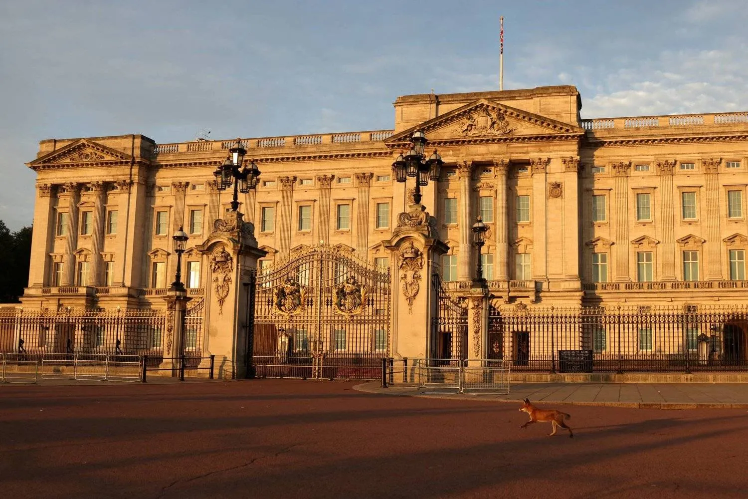 FILE PHOTO: A fox runs past the Buckingham Palace on the first anniversary of Queen Elizabeth II's death, in London, Britain, September 8, 2023. REUTERS/Hollie Adams/File Photo
