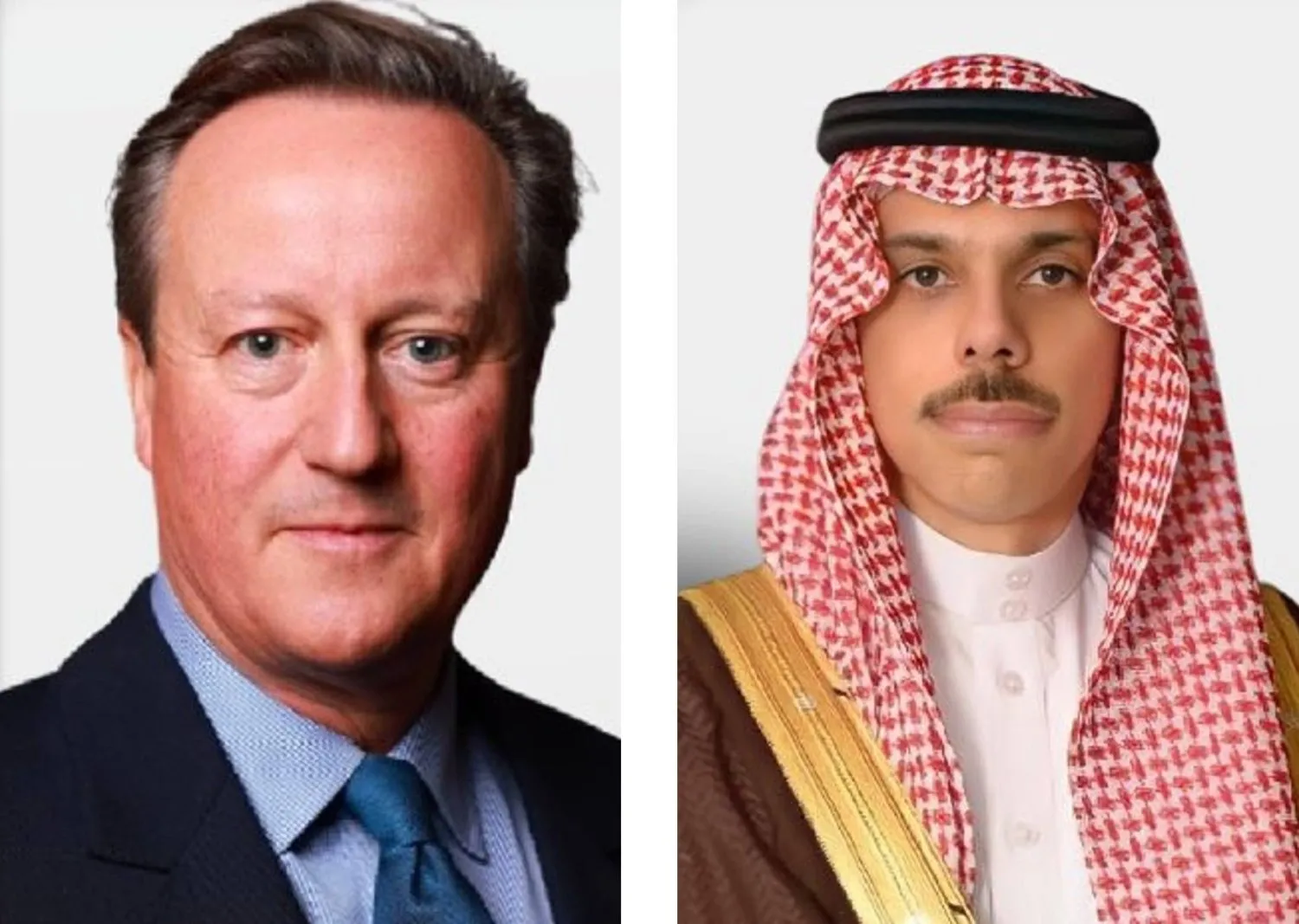 Prens Faysal bin Ferhan ve David Cameron (Suudi Dışişleri Bakanlığı)