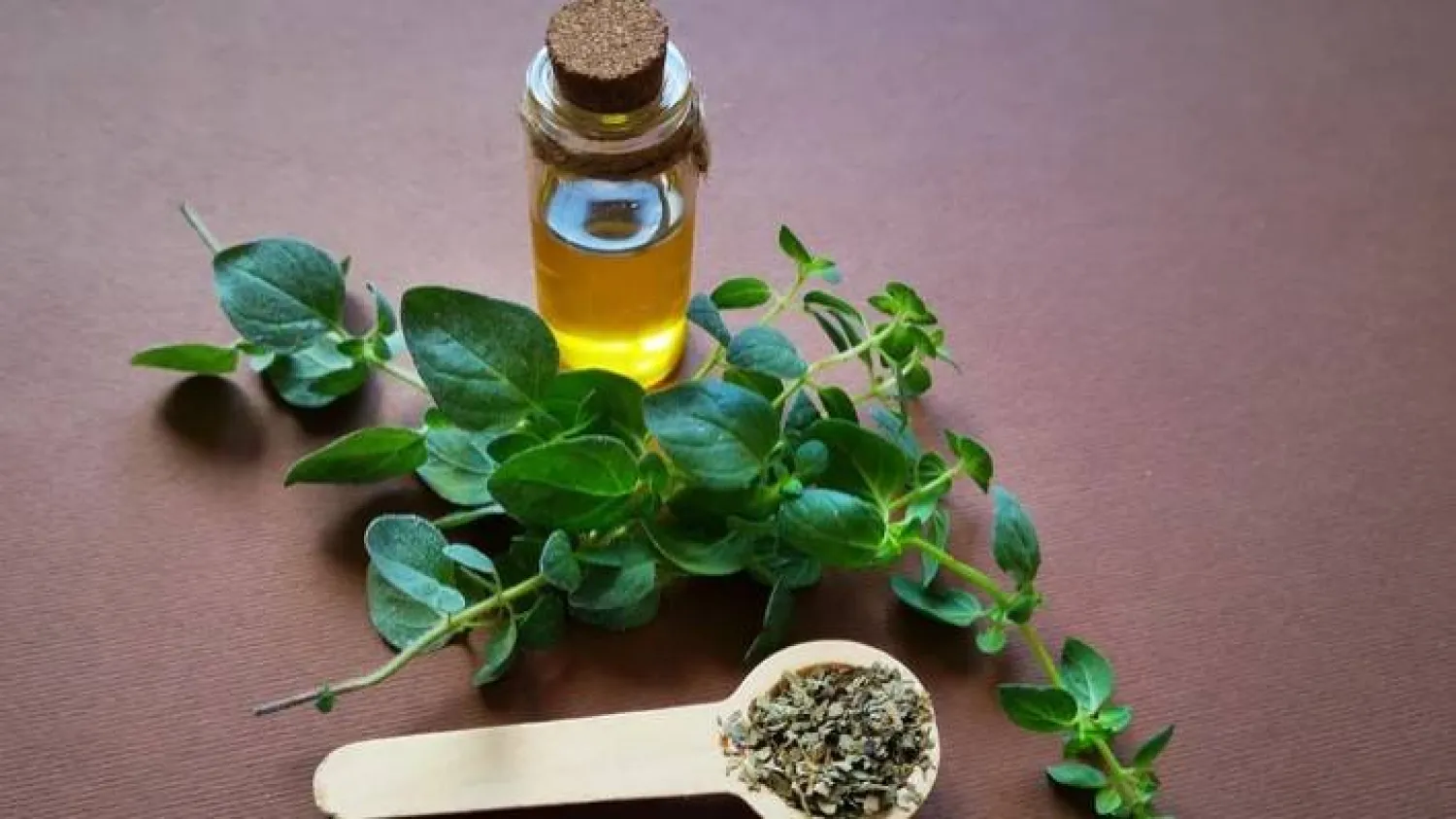 زيت الأوريغانو... علاج مذهل لمشاكل الجلد وفوائد صحية للبشرة