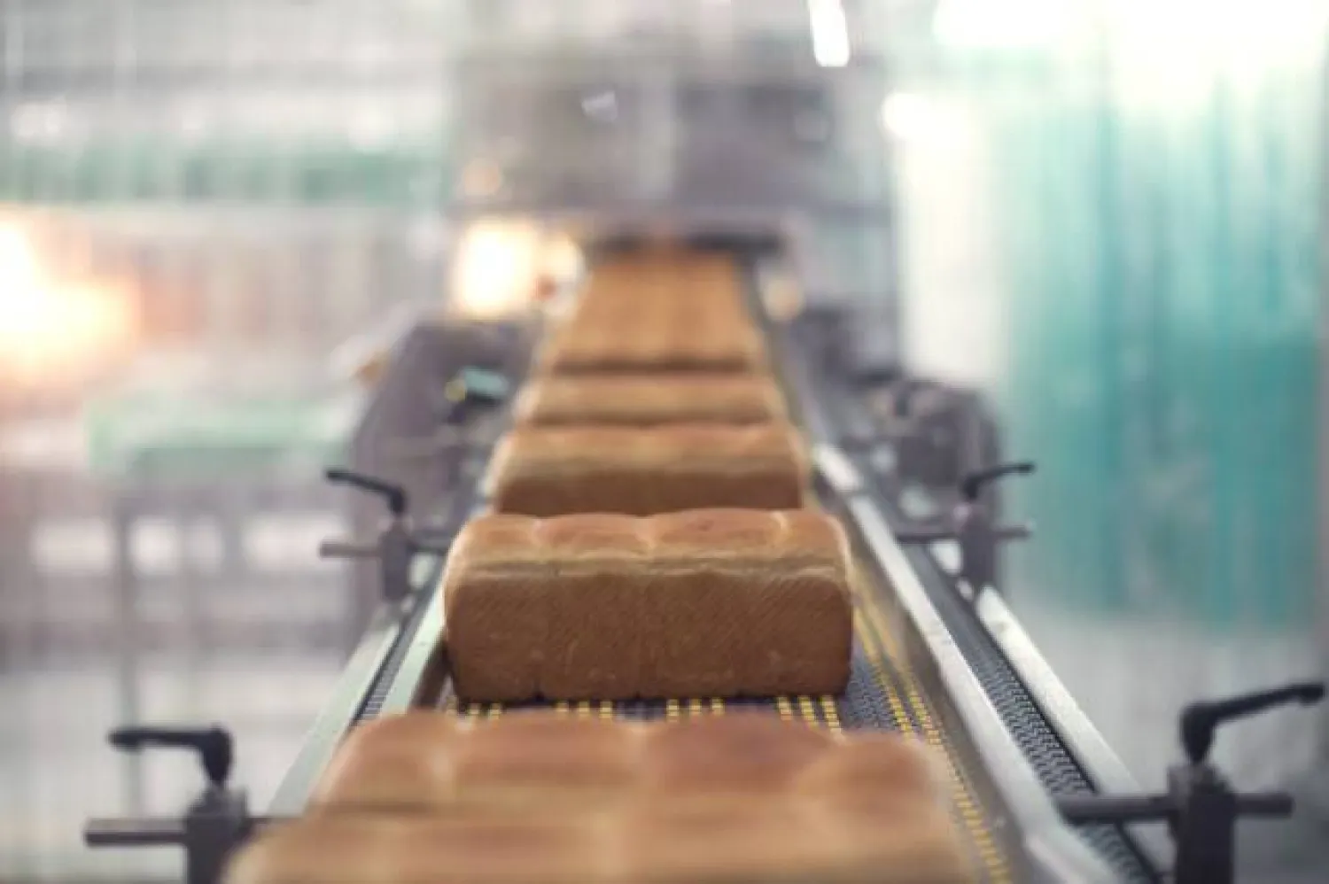 المشروع الجديد من شأنه تعزيز الأمن الغذائي بالمملكة (الشرق الأوسط)