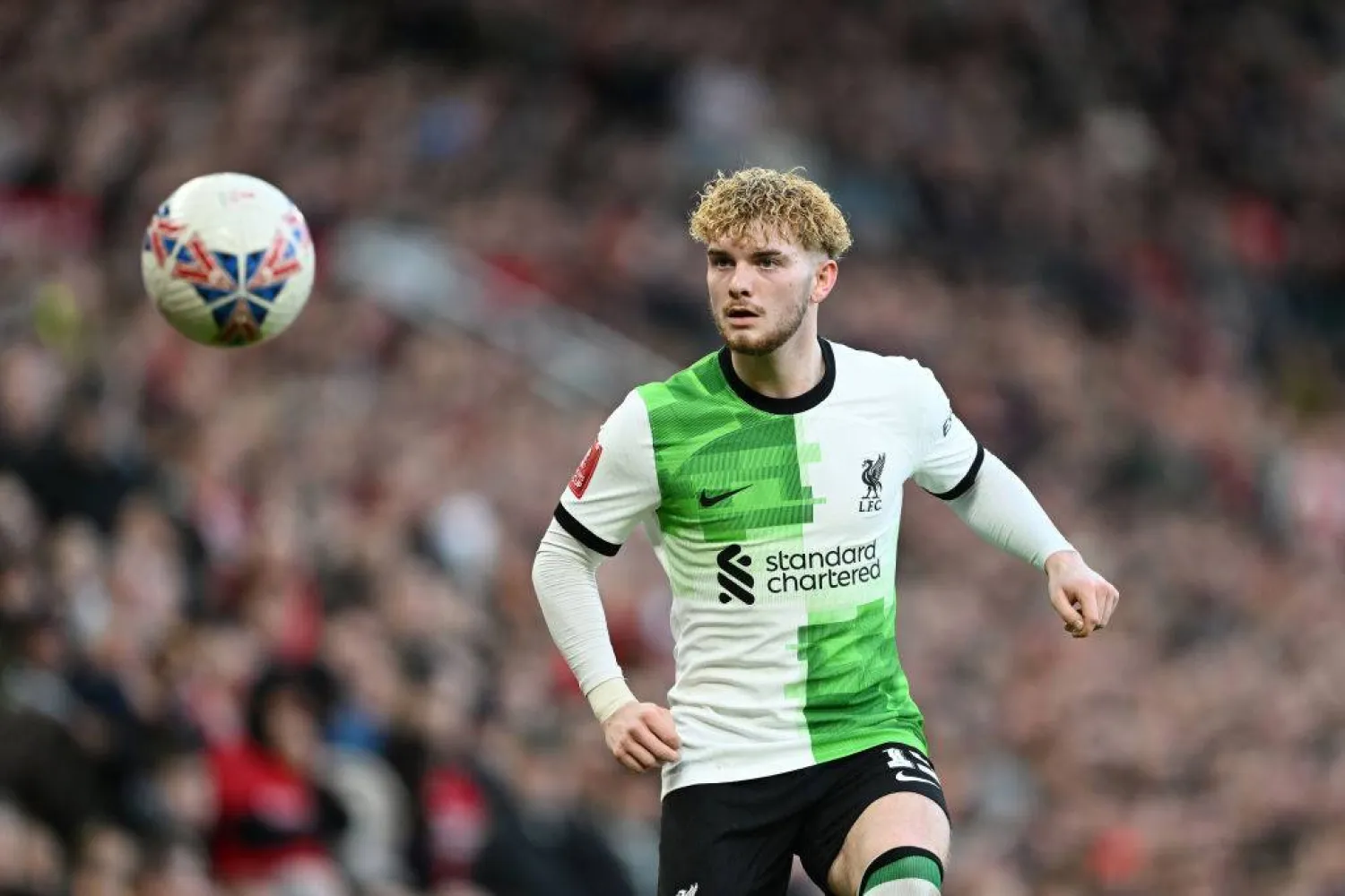 هيرفي إليوت لاعب وسط ليفربول (غيتي)