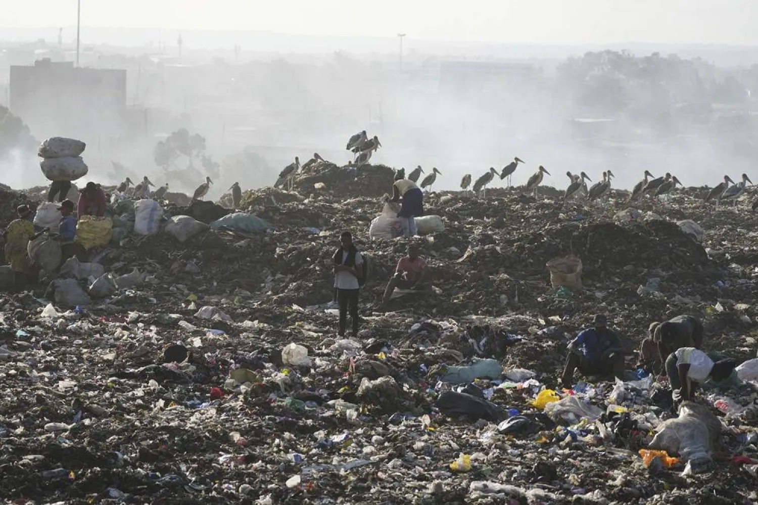 People scavenge recyclable materials for a living, past Marabou storks feeding on a mountain of garage at Dandora, the largest garbage dump in the capital Nairobi, Kenya Wednesday, March 20, 2024. (AP)