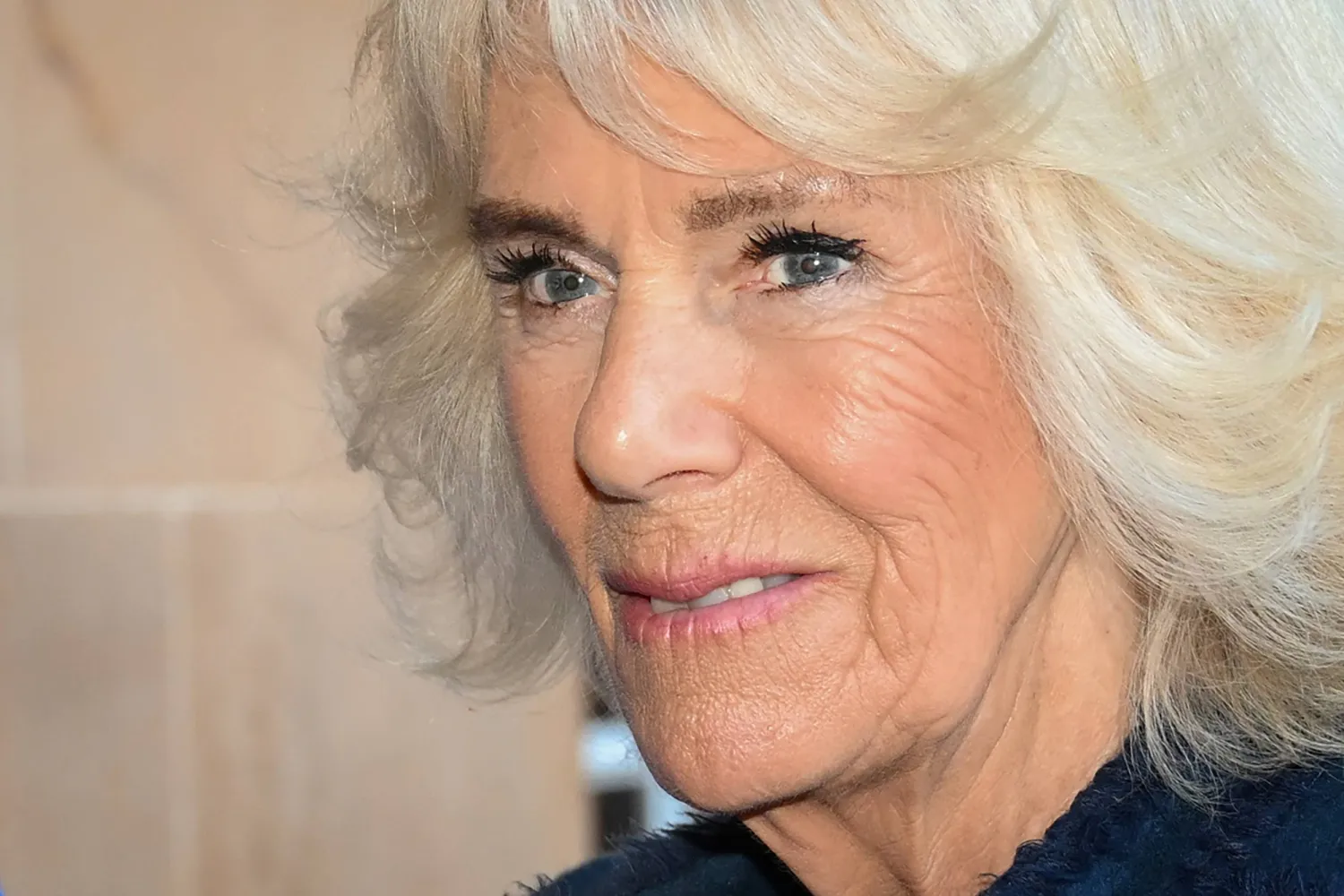 الملكة كاميلا (رويترز)