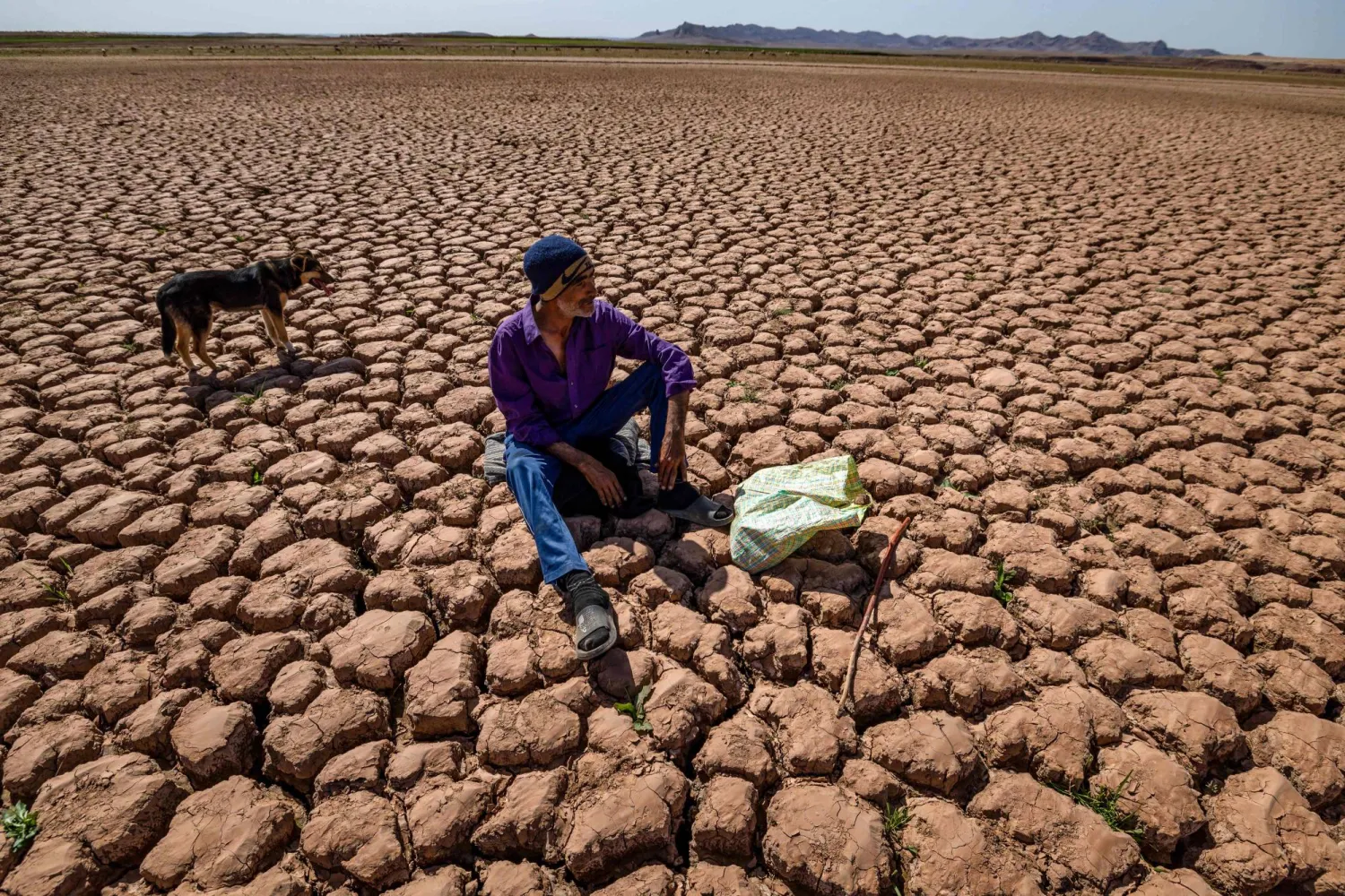 صورة تبين حجم الجفاف الذي ضرب عدة مناطق من تونس (أ.ف.ب)