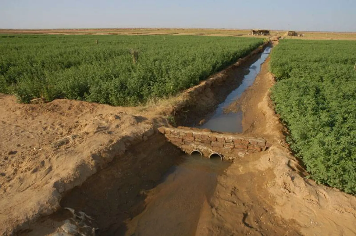 جانب من الترع الزراعية في ولاية الجزيرة (سونا)