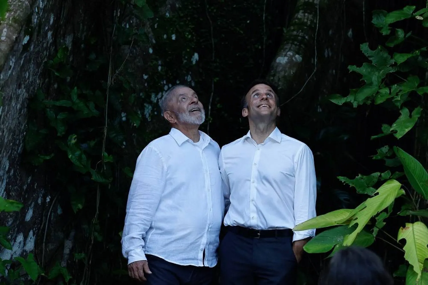 Brazil's President Luiz Inacio Lula da Silva and French President Emmanuel Macron look at a tree canopy at the Combu Island, near Belem, Brazil, March 26, 2024. (Reuters)