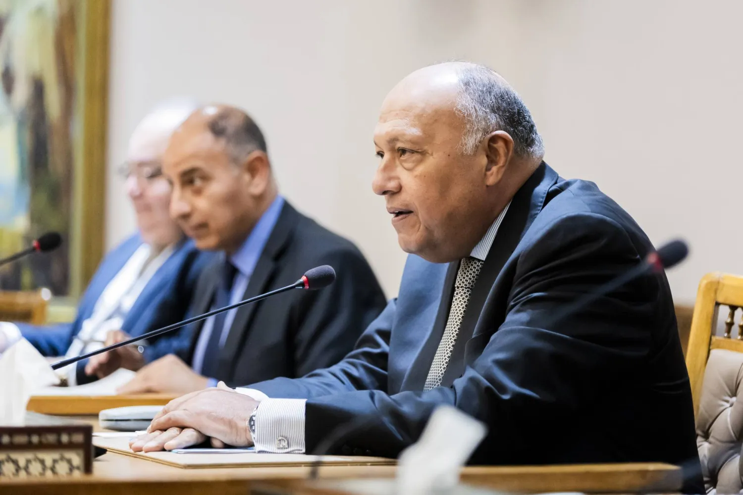 وزير الخارجية المصري سامح شكري (د.ب.أ)