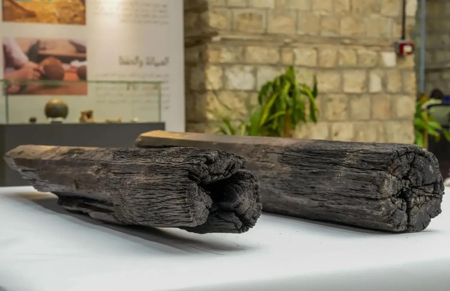 الساريتان من خشب الأبنوس وتُصنّفان كأقدم القطع الأثرية المكتشفة في الموقع (واس)