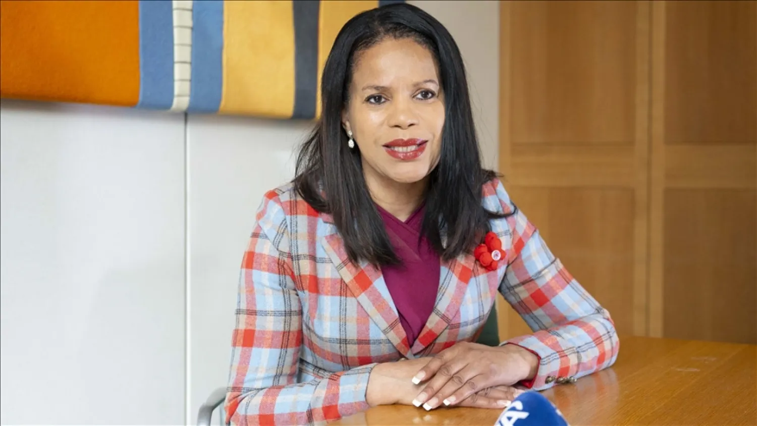 Fotoğraf: Raşid Necati Aslım/AA