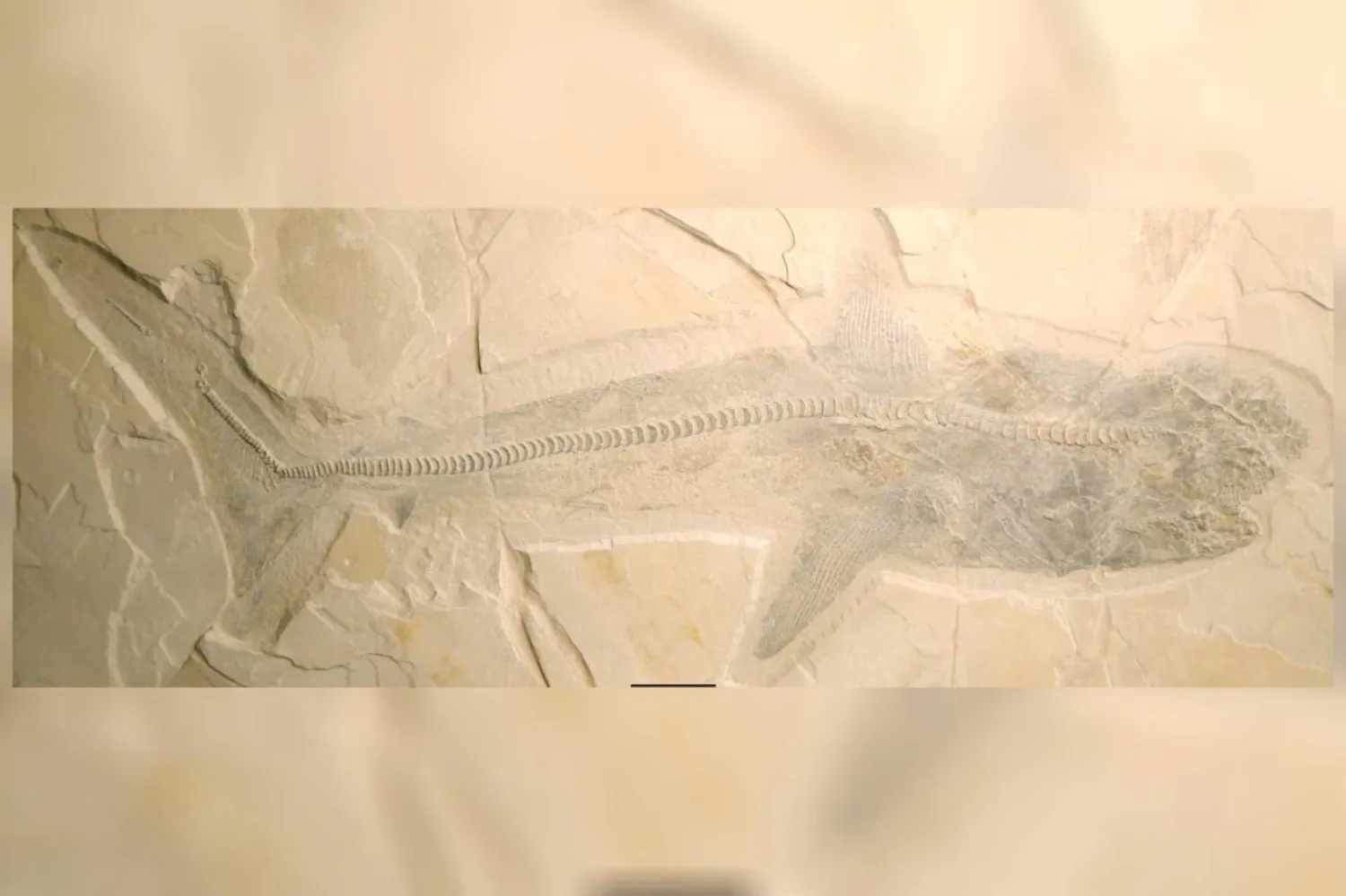 (Proceedings of the Royal Society B: Biological Sciences)