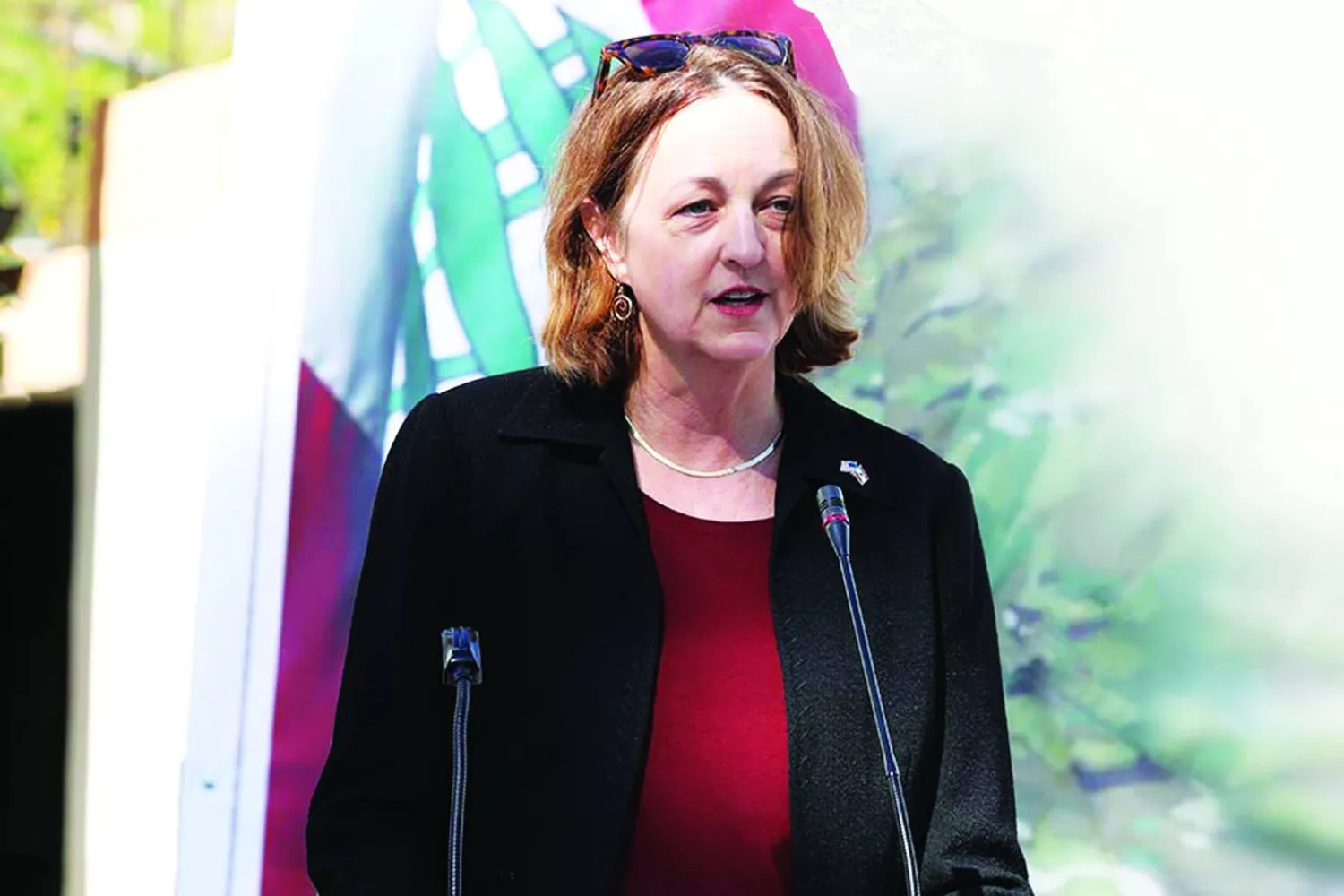 
السفيرة الأميركية لدى لبنان ليزا جونسون (من حساب قيادة الجيش اللبناني)