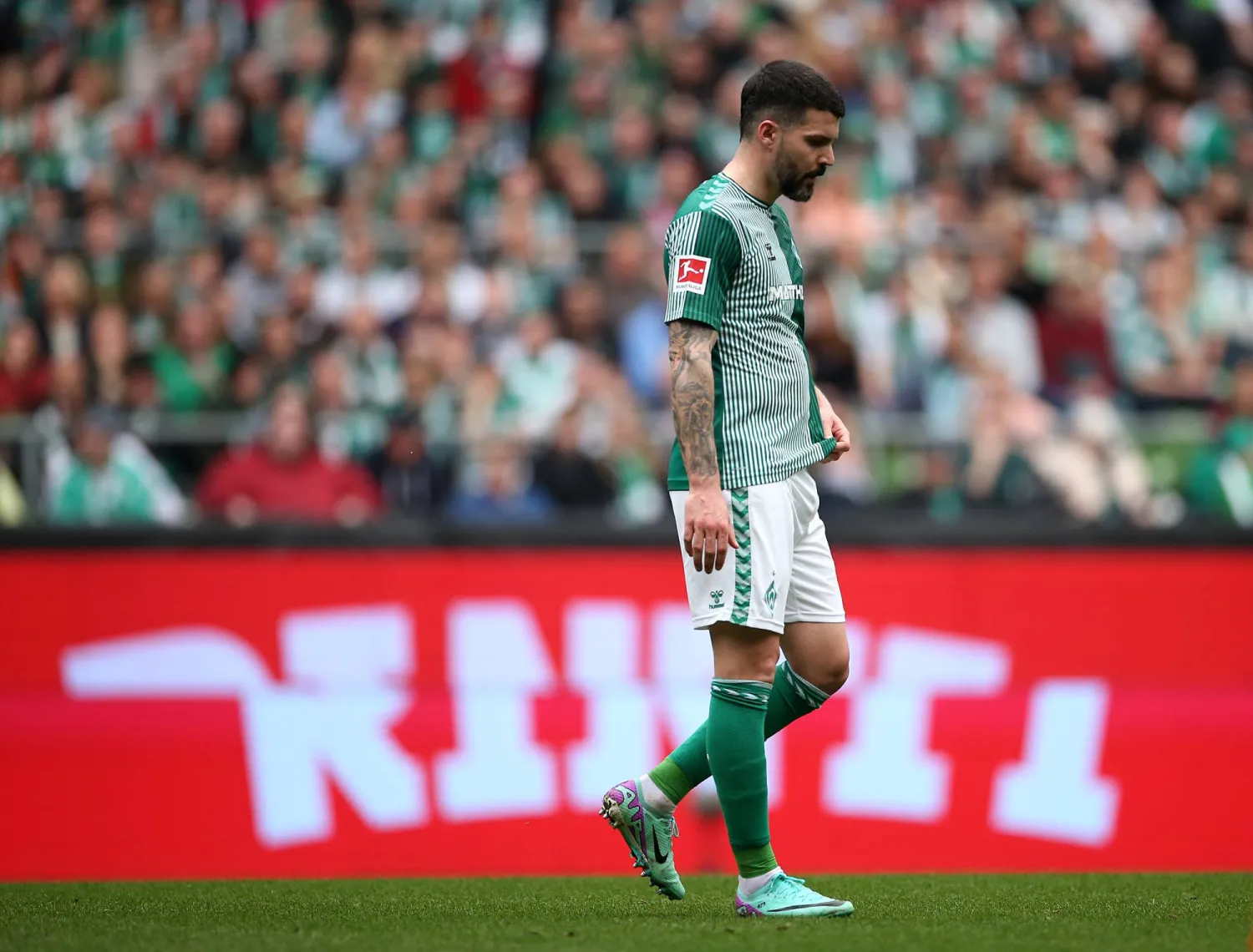 أنتوني يانغ مدافع فيردر بريمن (غيتي)