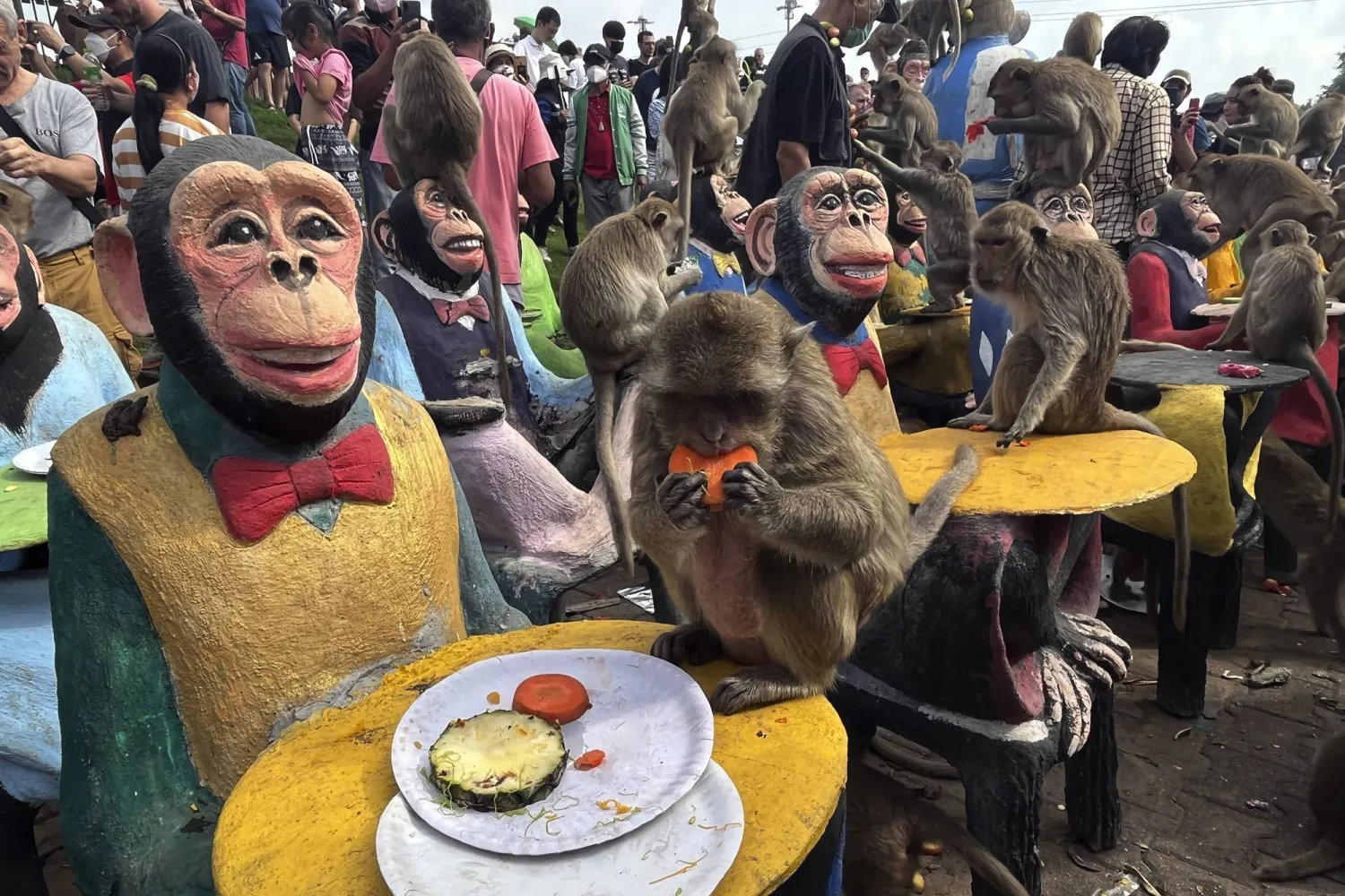 FILE -  Monkeys eat fruit during a monkey feast festival in Lopburi province, Thailand. Sunday, Nov. 27, 2022. (AP Photo/Chalida EKvitthayavechnukul, File)