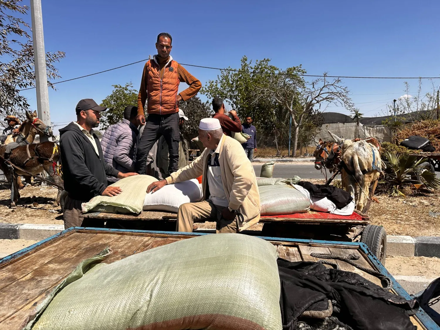 مزارعون فلسطينيون في غزة يتسلمون العلف (وكالة الأنباء العربية)