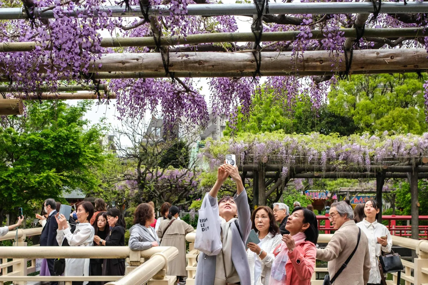 زوار يلتقطون صوراً تذكارية داخل حديقة تاريخية وسط العاصمة اليابانية طوكيو (أ.ف.ب)