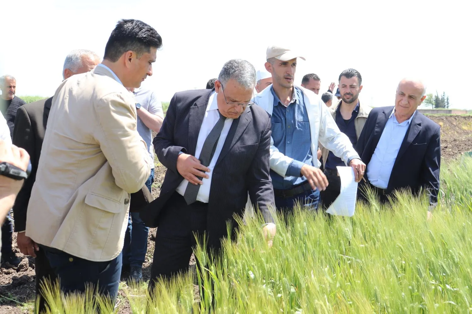 وزير الزراعة المهندس محمد حسان قطنا يتفقد الأحد محصول القمح في حماة والغاب وسط سوريا (الإعلام الزراعي)