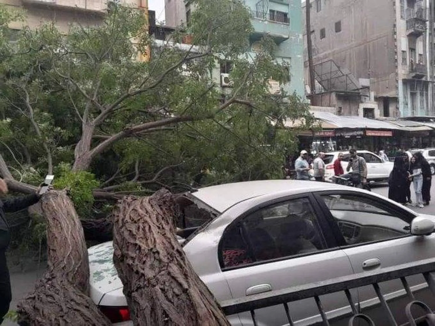 سقوط شجرة على سيارة في باب الجابية بدمشق نتيجة هبوب رياح شديدة الثلاثاء (مواقع)